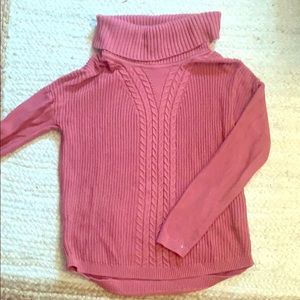 Berry Turtleneck Sweater